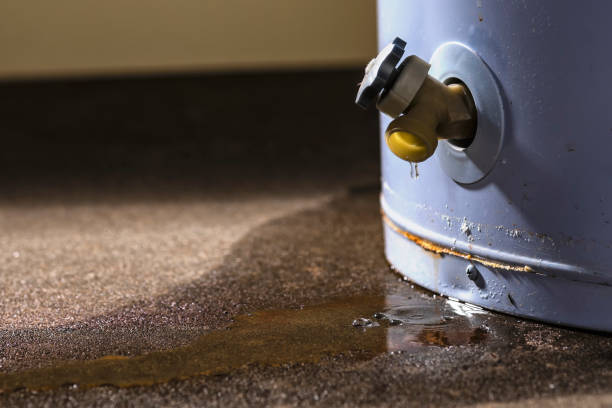 Best Residential water damage restoration  in Lovington, NM