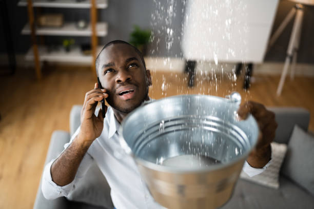 Best 24/7 water damage repair  in Lovington, NM