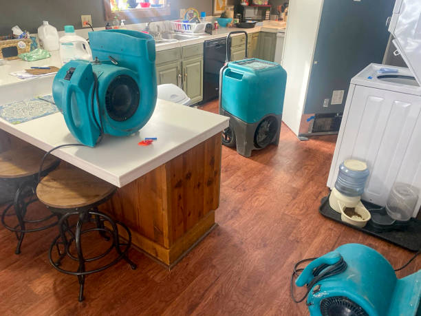 Best Flood damage cleanup  in Lovington, NM