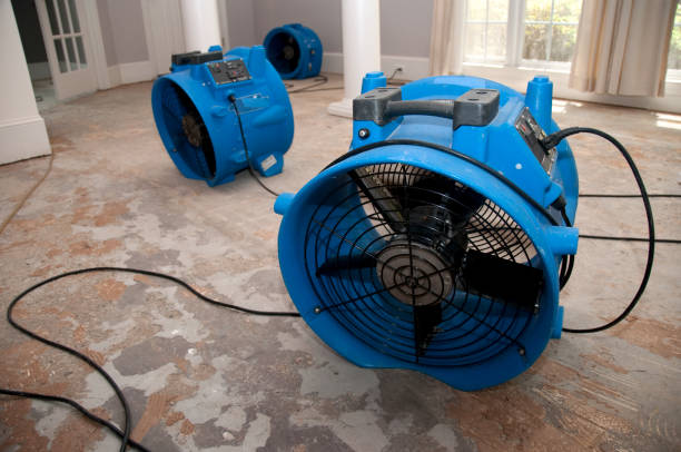 Best Water damage restoration near me  in Lovington, NM