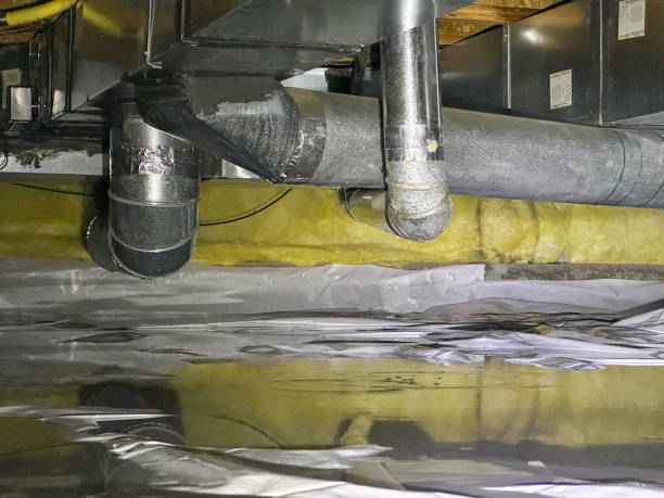 Best Carpet water damage restoration  in Lovington, NM