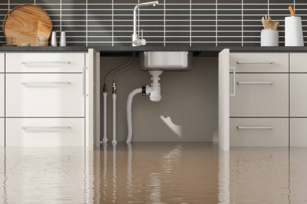 Best Professional water damage repair  in Lovington, NM