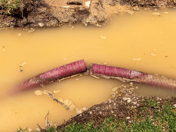 Best Commercial water damage restoration  in Lovington, NM