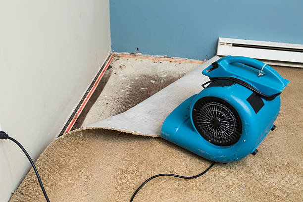 Best Water damage repair service  in Lovington, NM
